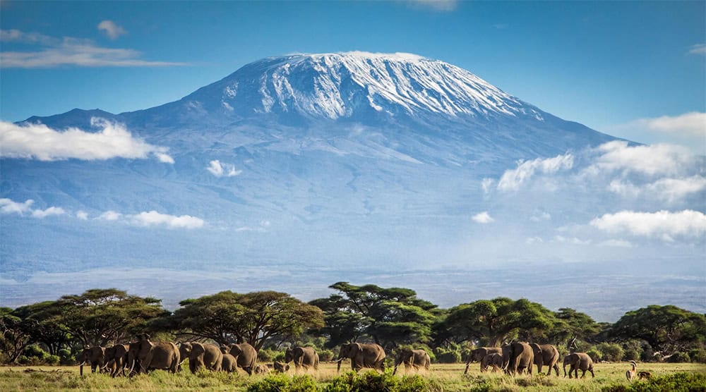KILIMANJARO NATIONAL PARK