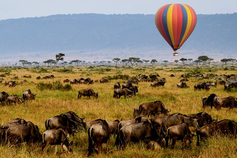6 Day Tanzania Migration Safari and Ngorongoro Crater