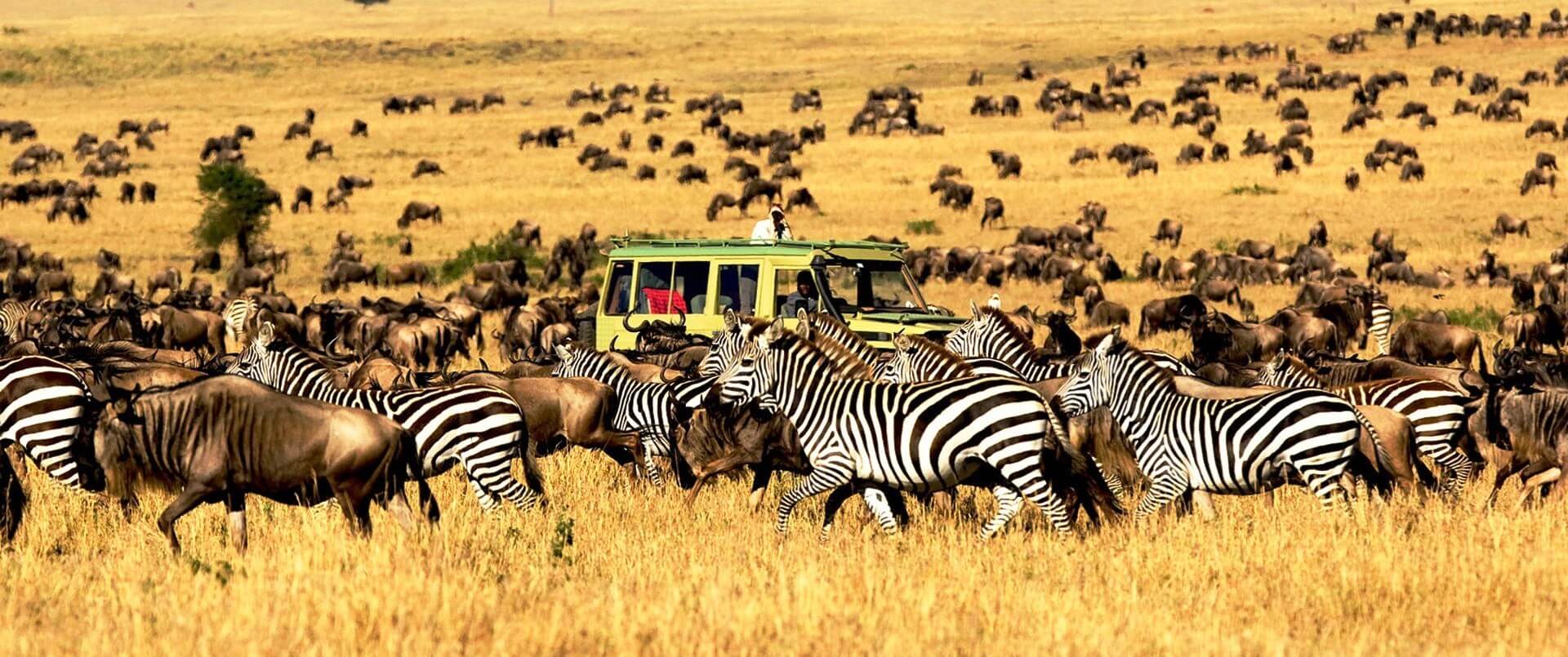 7 Day Tanzania Migration Safari and Ngorongoro Crater