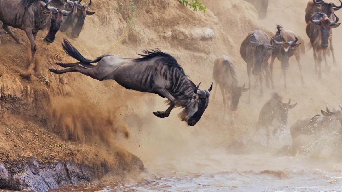 10 Day Migration and Mara River Crossing Safari