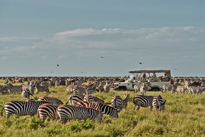 9-Day Big 5 Africa Safari Tour (Budget)