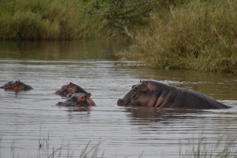 Katavi National Park