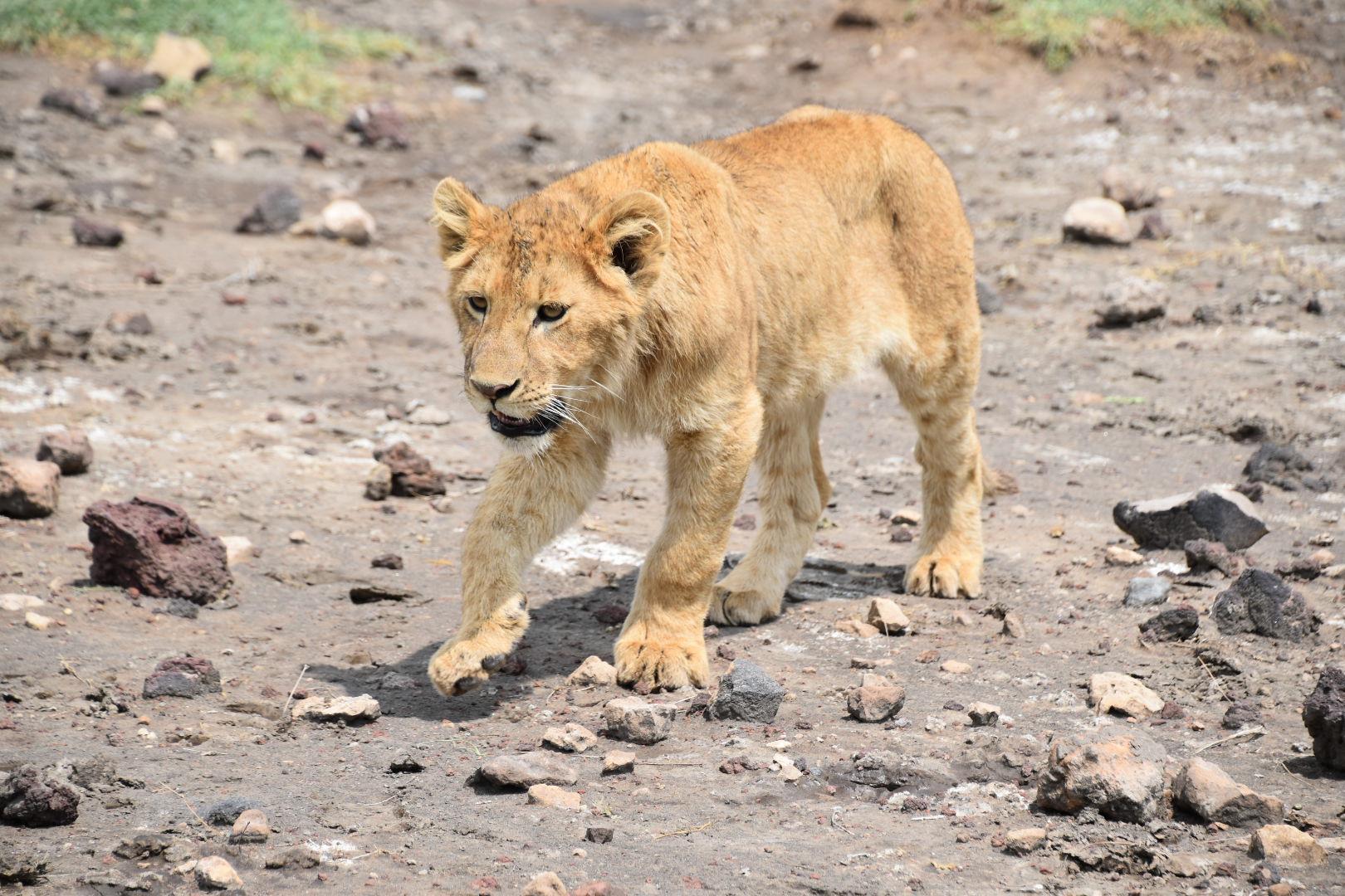Arusha National Park