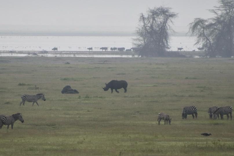 Ngorongoro Crater